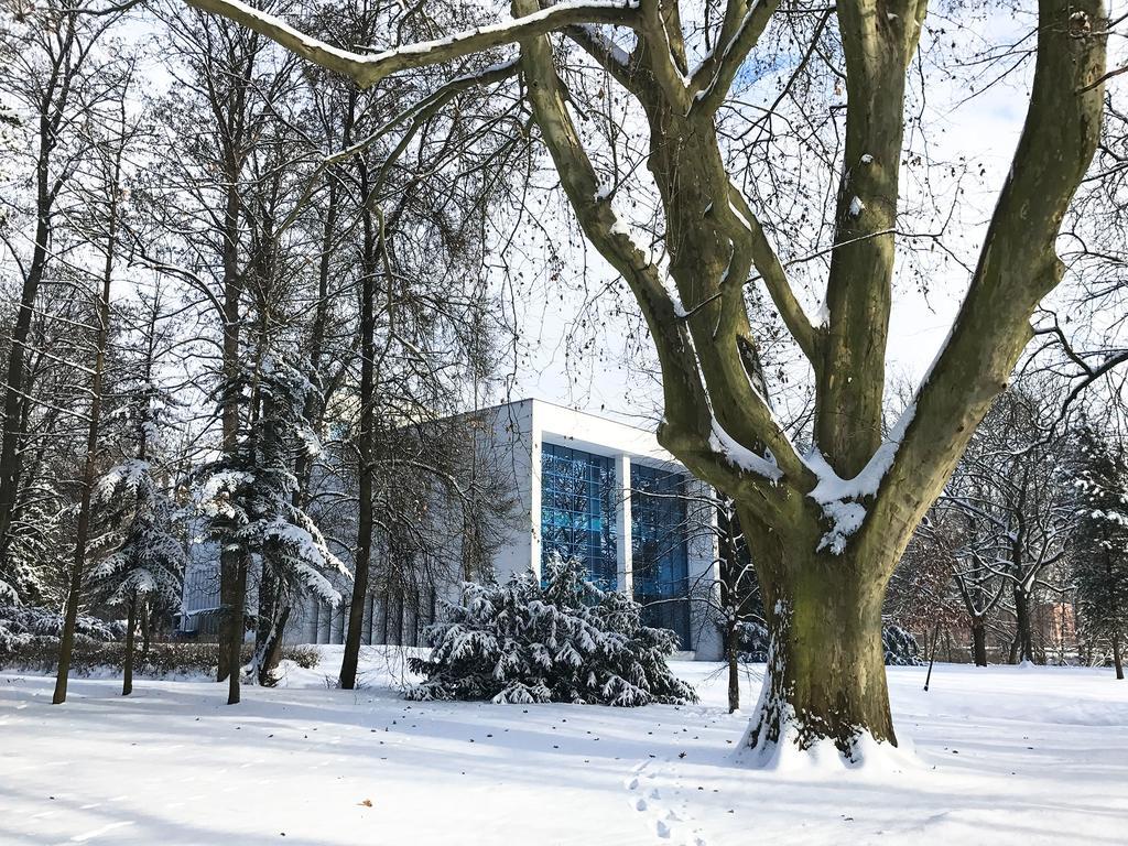 Design Apartments In Park Brno Esterno foto